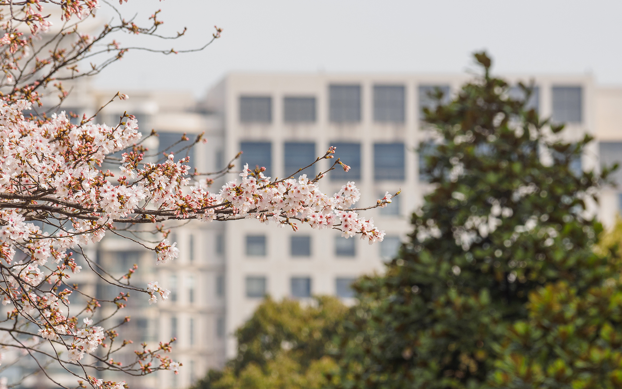 L'Université de Tongji innove en matière d'éducation grâce à une salle de classe dotée d'un système d'eye tracking